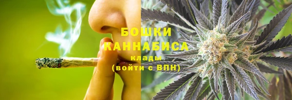 дурь Алзамай