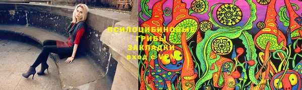 наркотики Алексин