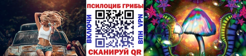МЕГА   Пикалёво  Галлюциногенные грибы ЛСД 